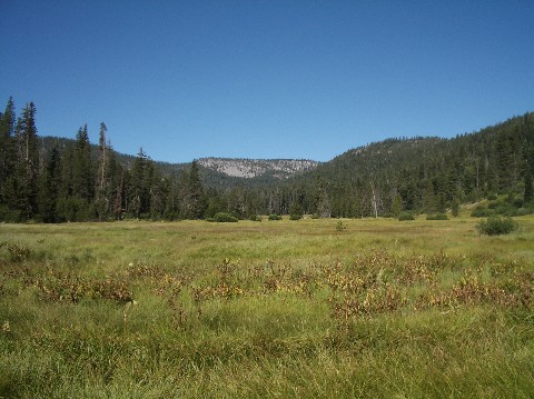 Open Prarie