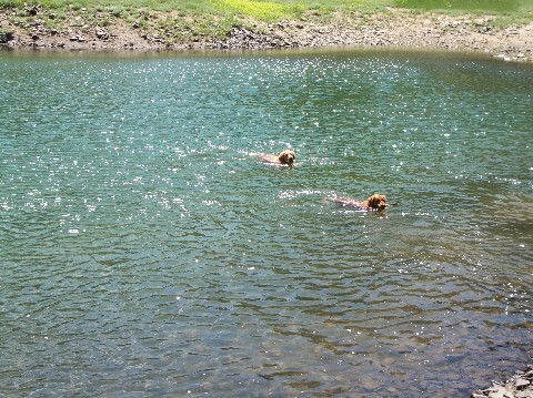 A Dip In The Lake