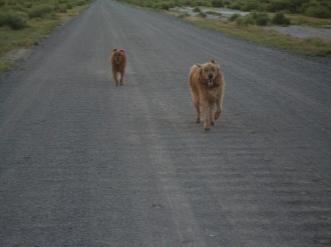 Open Roads