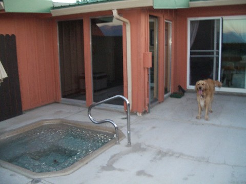 Backyard view