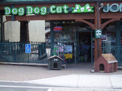 Dog Dog Cat Pet Boutique